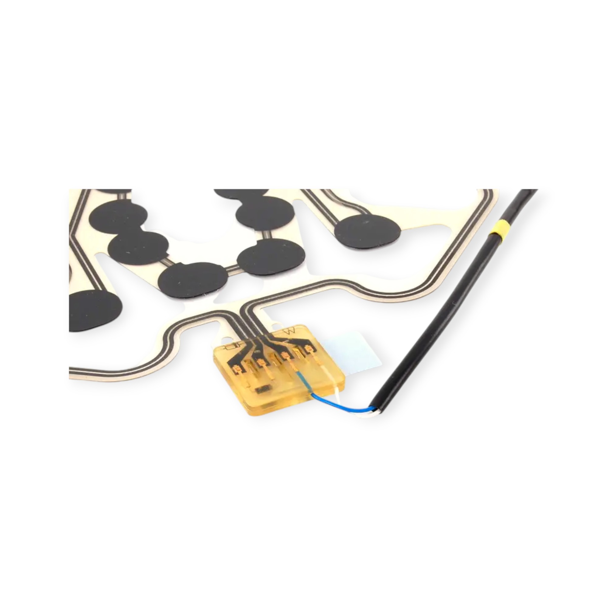 SENSÖR,YOLCU KOLTUĞU